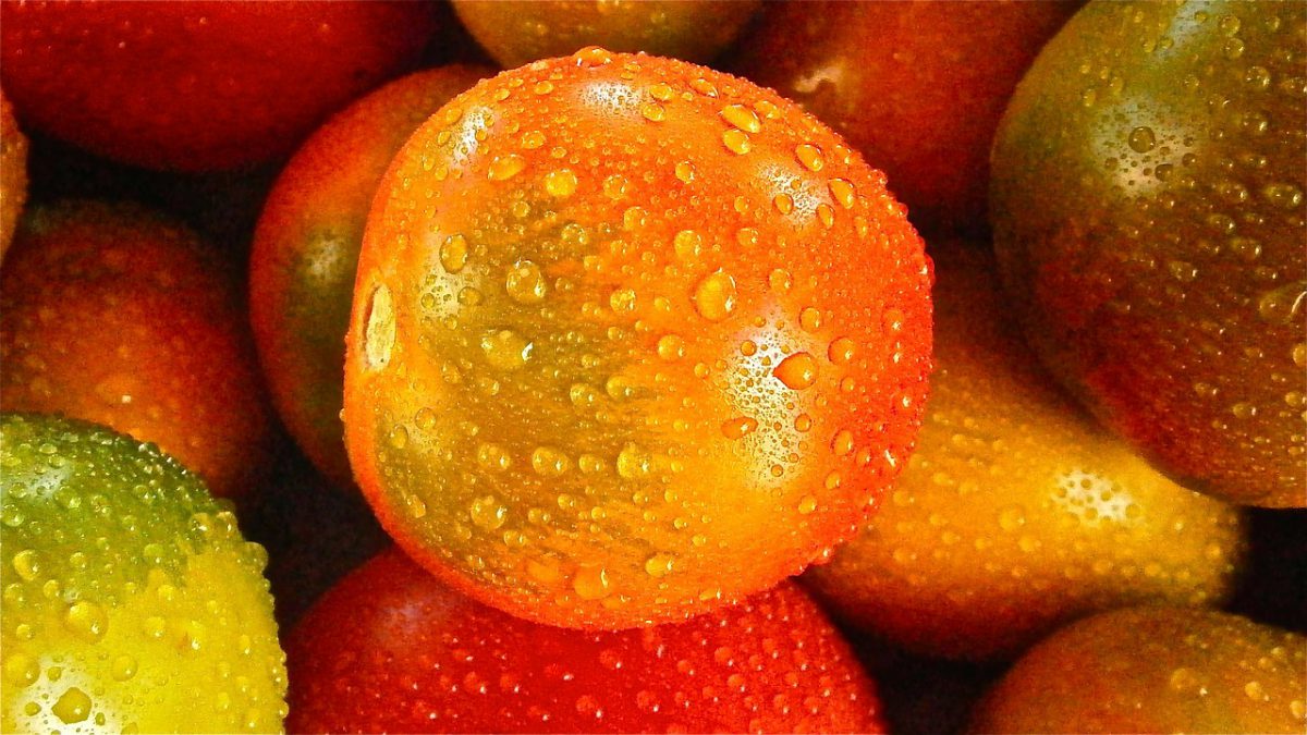 rosii-fructe